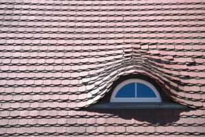 A homeowner examines a damaged roof vent and disturbed attic insulation where wildlife entered.