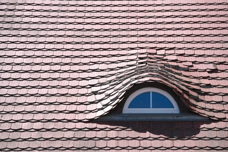 A homeowner examines a damaged roof vent and disturbed attic insulation where wildlife entered.